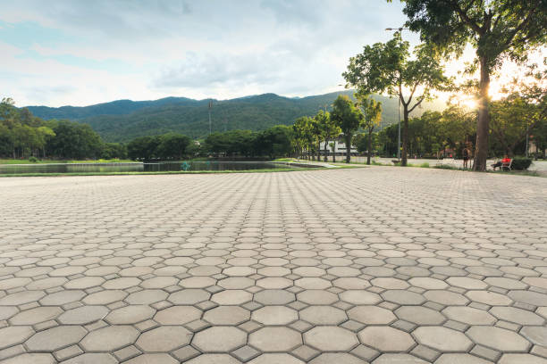 Best Decorative Driveway Pavers  in Hornell, NY